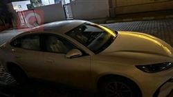 بي واي دي سيل 06 DM-i